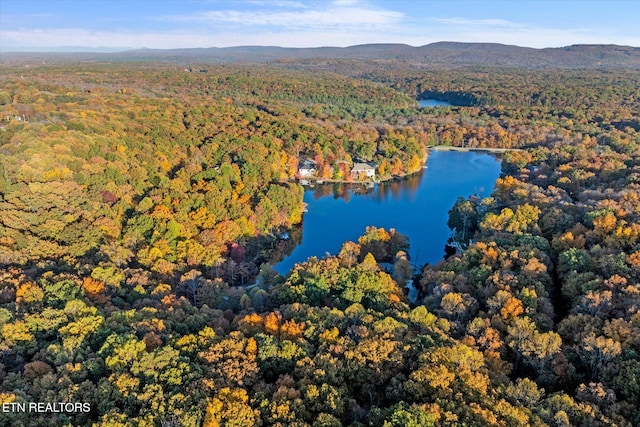 drone / aerial view featuring a water and mountain view