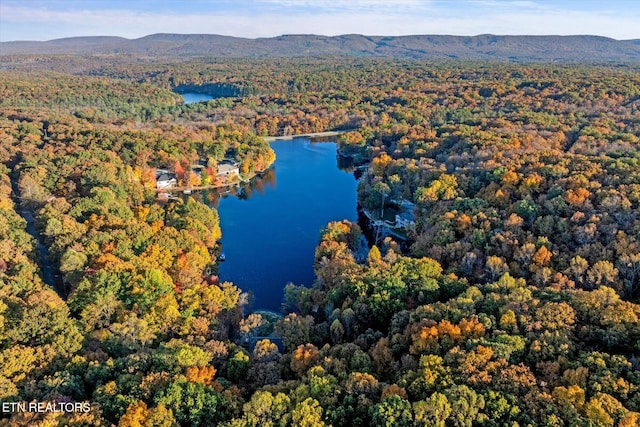 aerial view with a water and mountain view