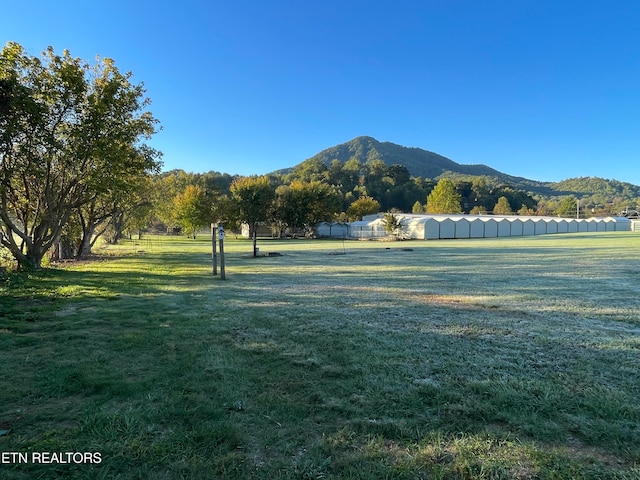 view of community featuring a mountain view and a lawn