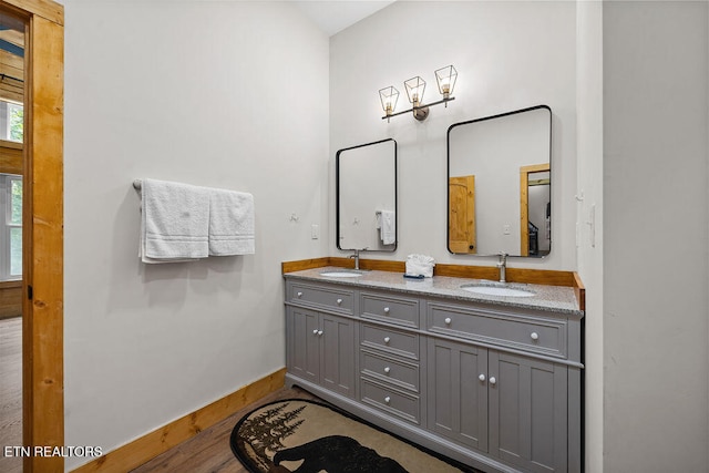 bathroom featuring vanity and wood-type flooring