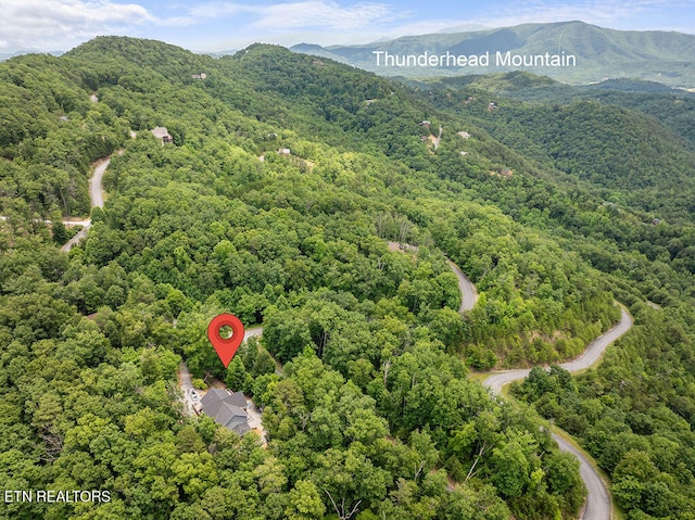 bird's eye view with a mountain view