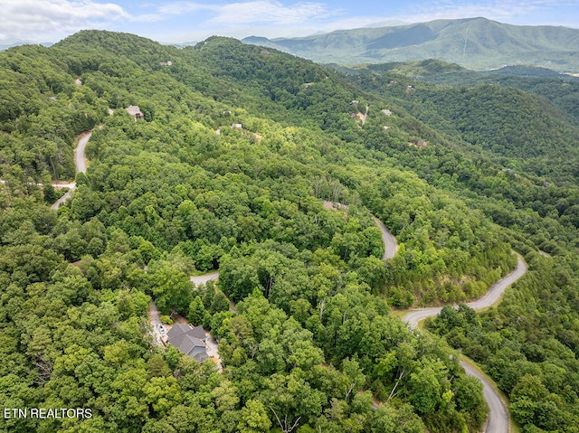 property view of mountains