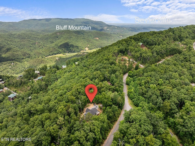 aerial view with a mountain view