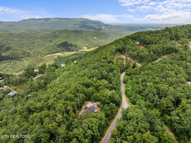 drone / aerial view with a mountain view