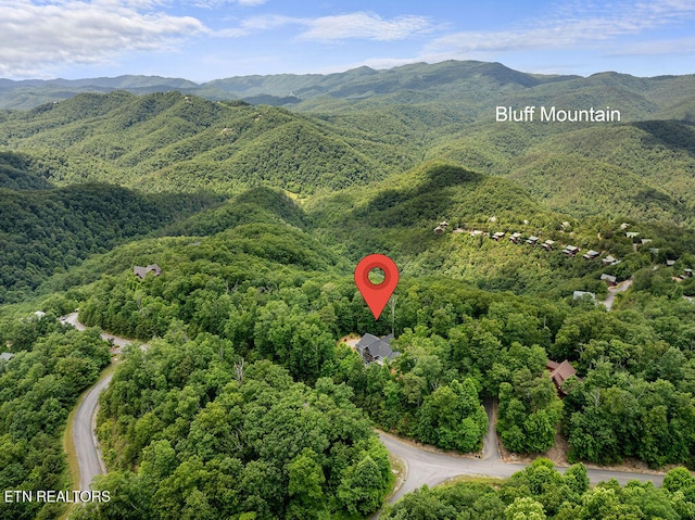 drone / aerial view with a mountain view