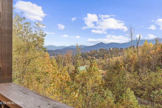 view of mountain feature