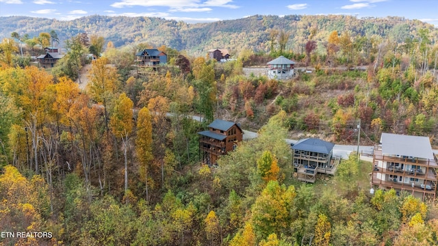 bird's eye view with a mountain view