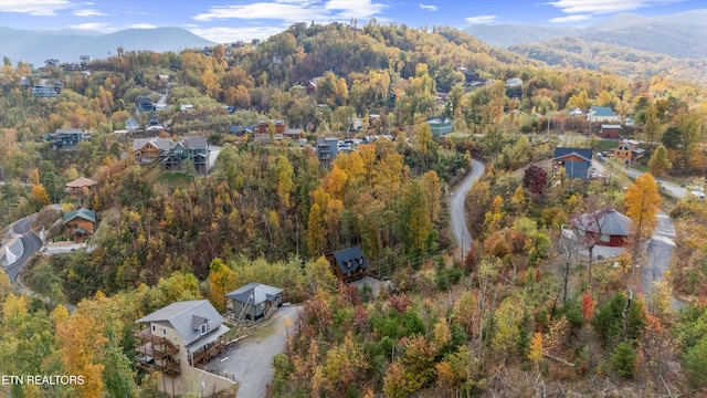 birds eye view of property with a mountain view