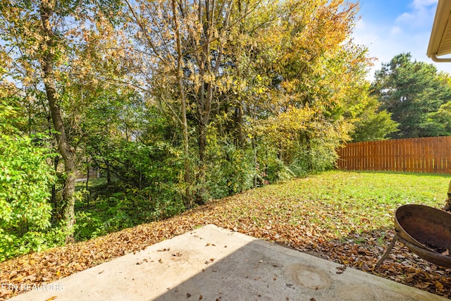 view of yard featuring a patio area