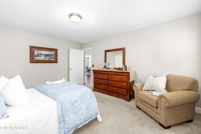 720 Sandpiper St, Maryville, TN 37801 - photo 10