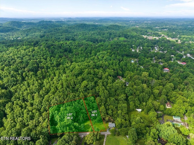 0 W Martin Mill Pike, Knoxville TN, 37920 land for sale