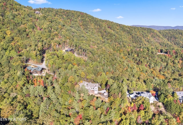 bird's eye view with a mountain view