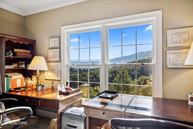 office space with crown molding, a mountain view, and a healthy amount of sunlight