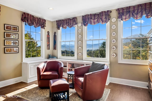 living area with a wealth of natural light, a mountain view, and dark hardwood / wood-style floors