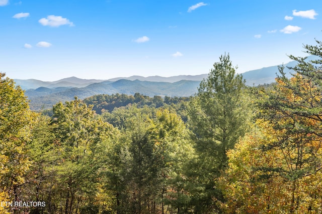 property view of mountains