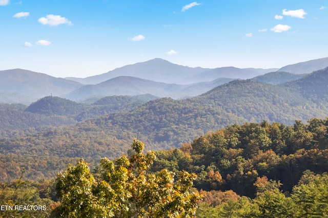 property view of mountains