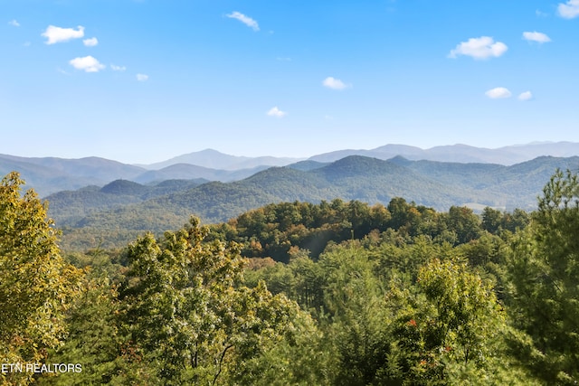 property view of mountains