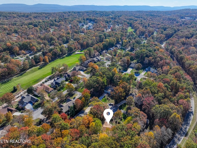 birds eye view of property with a mountain view