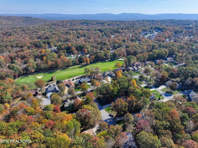 birds eye view of property featuring a mountain view