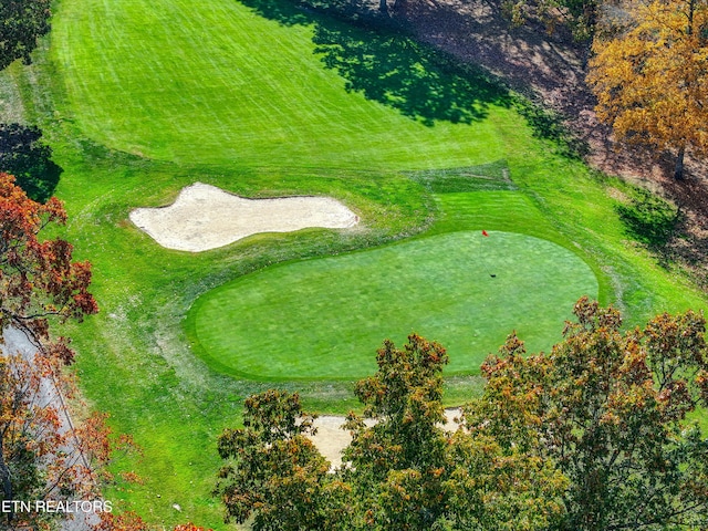 54 Heather Glen Ct, Crossville, TN 38558 - bird's eye view of a golf course