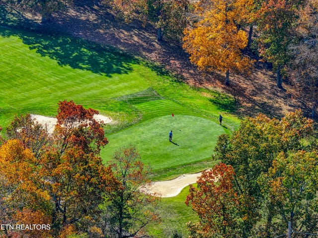 view of community featuring a lawn