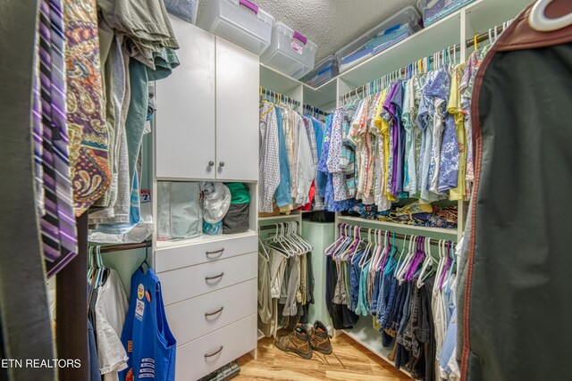 54 Heather Glen Ct, Crossville, TN 38558 - spacious closet with wood finished floors