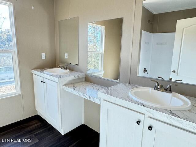 bathroom featuring a wealth of natural light, vanity, and wood-type flooring