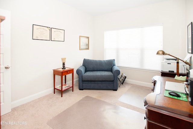 sitting room with light carpet