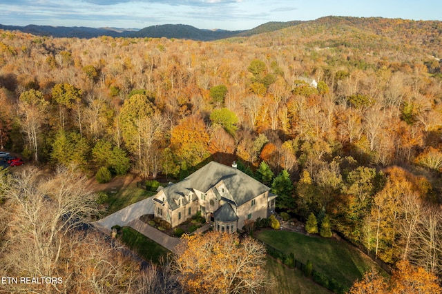 bird's eye view with a mountain view