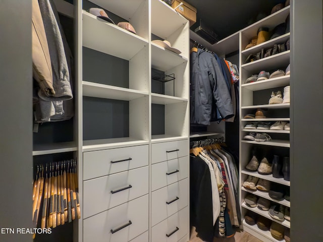 spacious closet with hardwood / wood-style floors