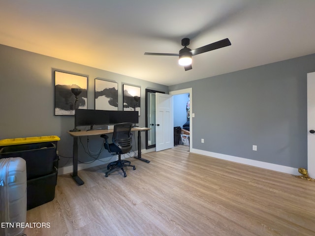 office space with ceiling fan and light wood-type flooring