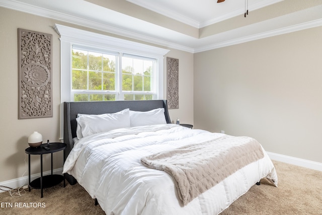 carpeted bedroom featuring a raised ceiling, ceiling fan, and ornamental molding