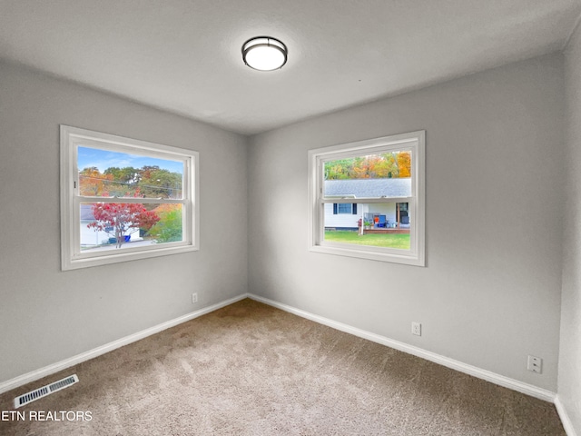 carpeted spare room featuring a healthy amount of sunlight