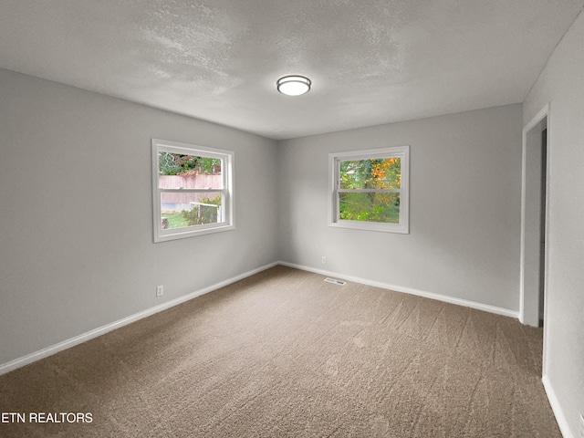 empty room with a textured ceiling, carpet floors, and a healthy amount of sunlight