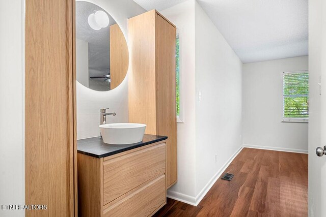 8709 Olde Colony Trl Unit 12, Knoxville, TN 37923 - bathroom with vanity, wood finished floors, baseboards, and ceiling fan