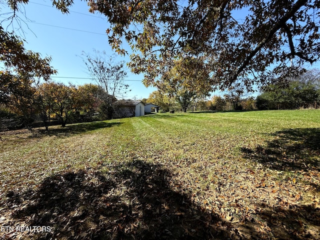 view of yard