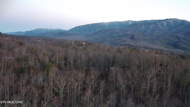 Listing photo 2 for 714 Pinnacle Vista Rd, Gatlinburg TN 37738