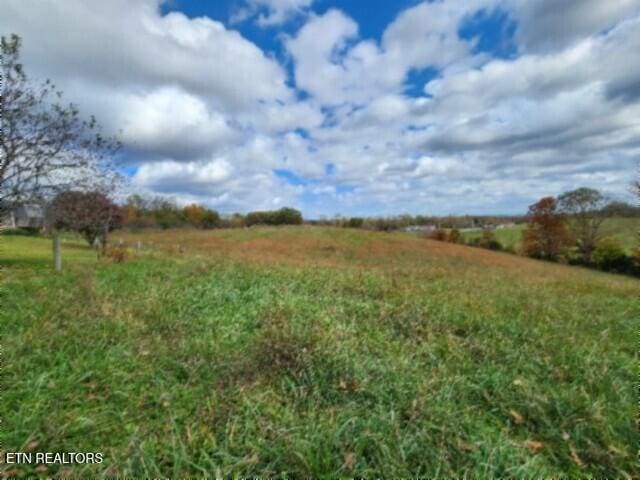 12.50AC Chester Hogan Rd, Celina TN, 38551 land for sale