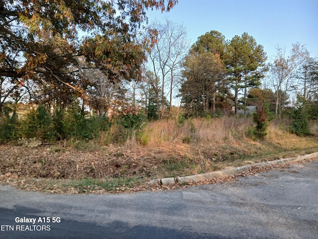 411 County Road 784, Etowah TN, 37331 land for sale