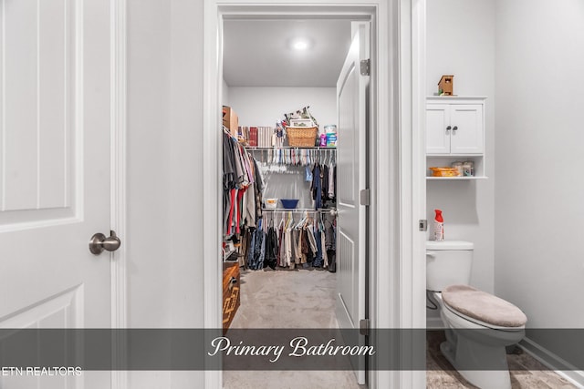 view of spacious closet