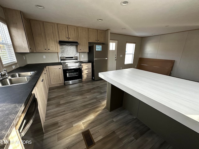 kitchen with sink, appliances with stainless steel finishes, dark wood-type flooring, and plenty of natural light