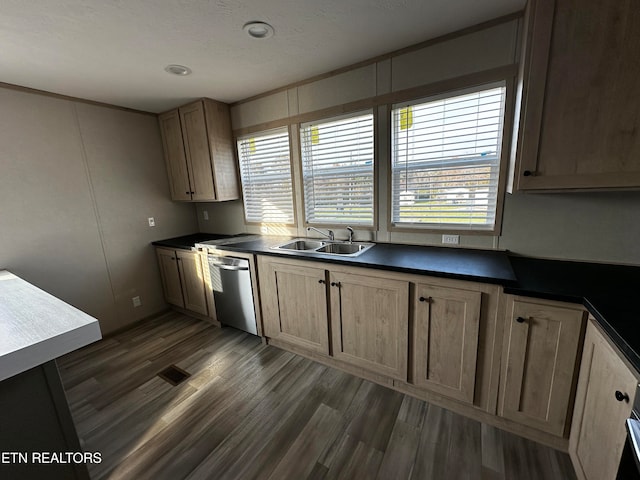 kitchen with a textured ceiling, sink, dark hardwood / wood-style floors, and dishwasher