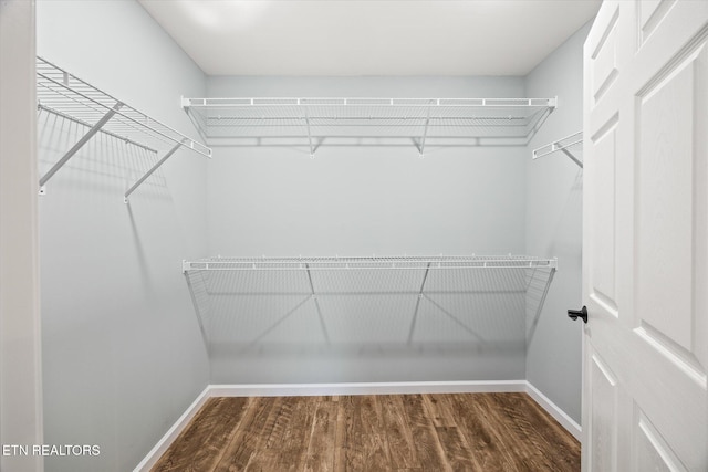 spacious closet featuring dark hardwood / wood-style flooring