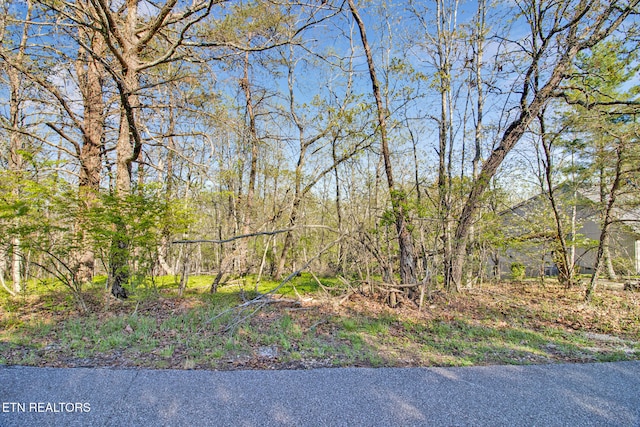 165 Brokenwood Ln, Fairfield Glade TN, 38558 land for sale