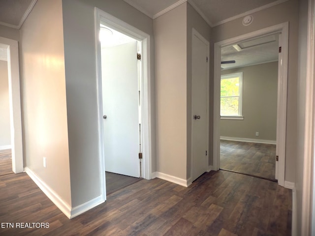 corridor featuring dark hardwood / wood-style floors and crown molding