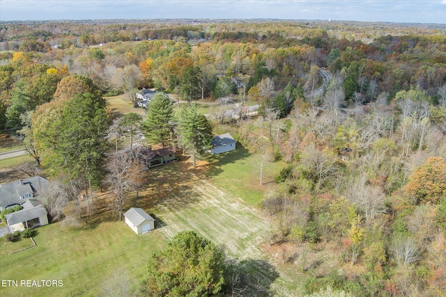 drone / aerial view