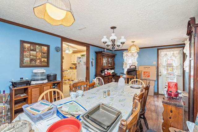 dining area featuring crown molding, a textured ceiling, and dark hardwood / wood-style floors