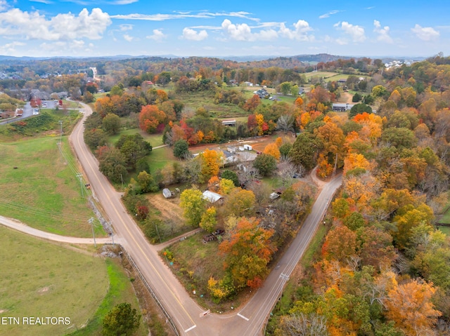 bird's eye view