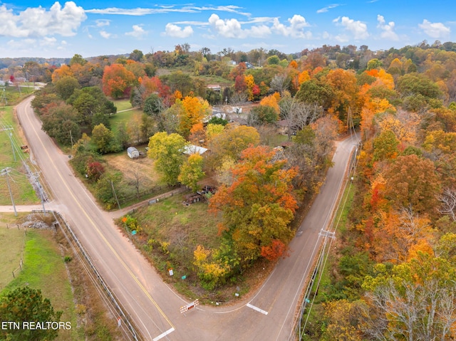 bird's eye view