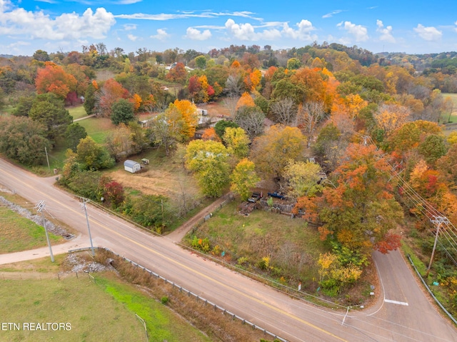 bird's eye view